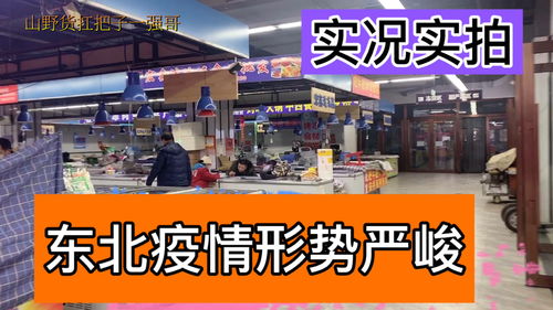 严冬已至,实拍东北小城现状,猪肉26元一斤