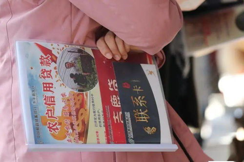 吉鹿 跃入百姓家 贷 来资金共致富