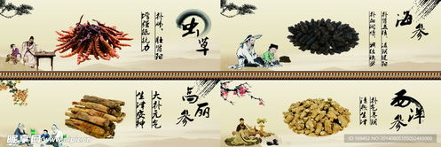 参茸行背景图设计图
