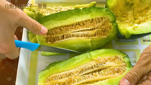 小伙吃市场买的香瓜就拉肚子,探访吉林香瓜大王,可以尽情享受了